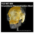 Human Skull Mesh